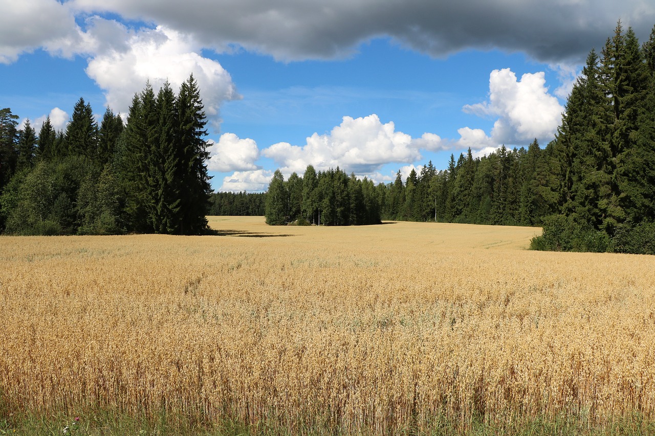 Pro Pilvipalvelut - Eettinen ohjeisto voi auttaa yritystä